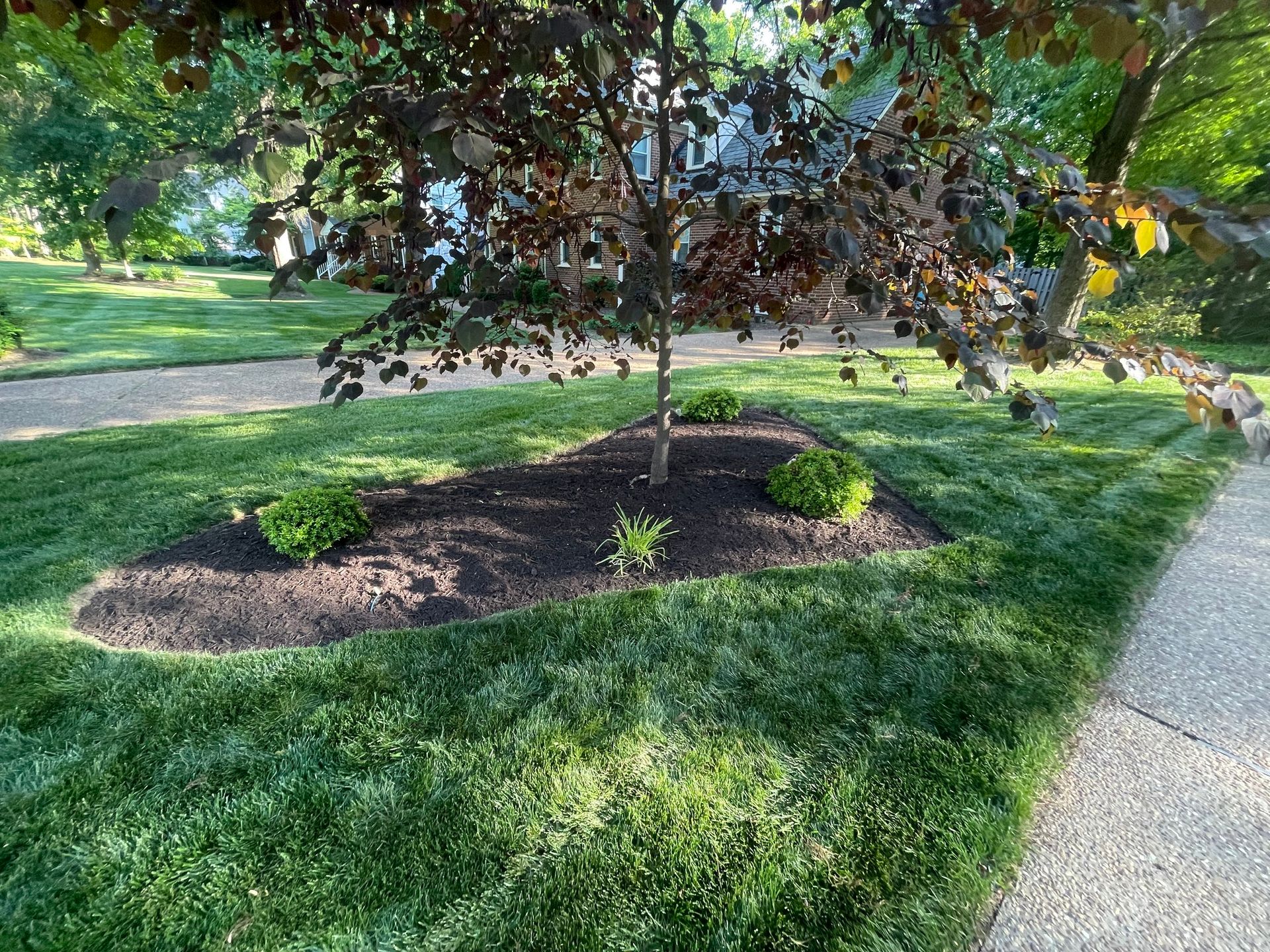 Smith Landscaping Portfolio Image 9